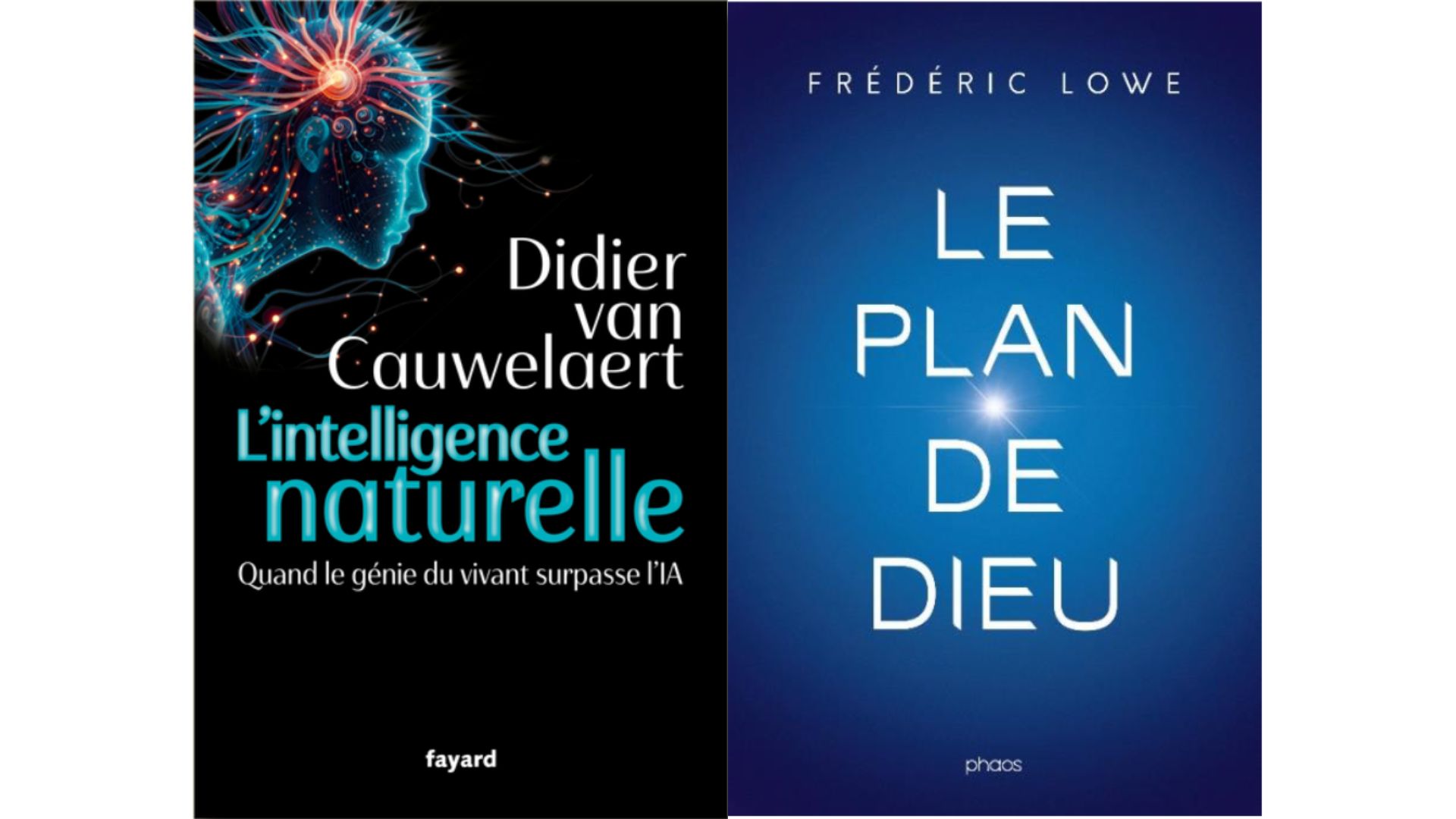 LivresHebdo
