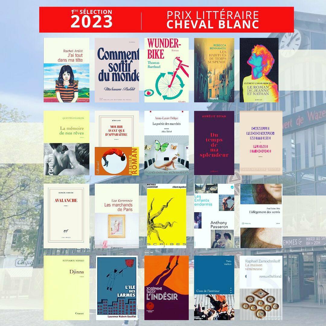 Les 20 premiers romans en lice pour le prix du Cheval blanc 2023