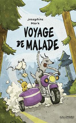 Voyage de malade_Gallimard.jpg