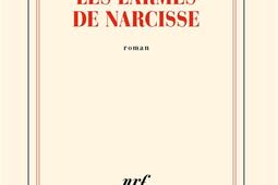 Les larmes de Narcisse_Gallimard_9782073038685.jpg