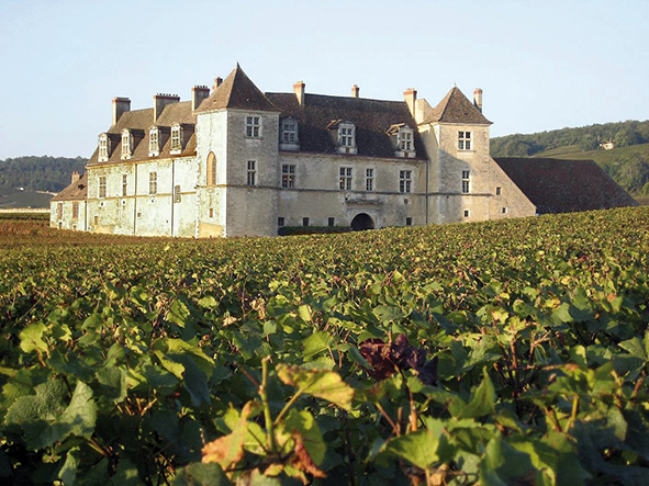 Livres en vignes fête ses 10 ans Livres Hebdo