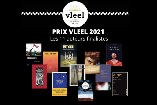 Les finalistes du prix Vleel 2021 dans la catégorie "auteurs"