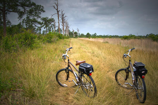 Vélos.