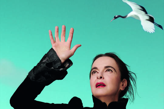 Amélie Nothomb : "Déstabiliser le lecteur, ce n'est pas mal"0.jpg