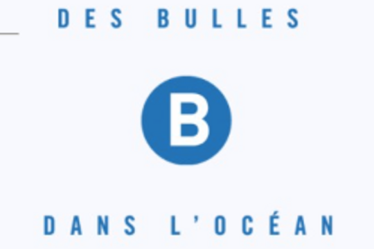 Maison d'édition réunionnaise Des bulles dans l'océan