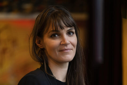 Mathilde Beaussault Les saules Seuil0.jpg
