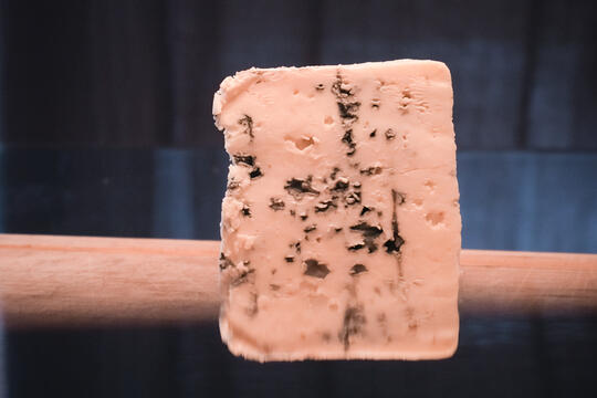 AnneSophie Moreau Fermentations Kefir compost et bacteries  pourquoi le moisi nous fascine Seuil0.jpg