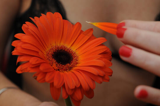 Image d'illustration pour la Saint Valentin