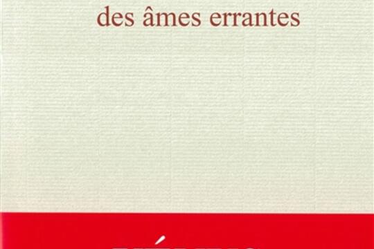 Desarroi des ames errantes_Mercure de France_9782715263154.jpg