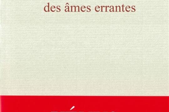 Desarroi des ames errantes_Mercure de France_9782715263154.jpg