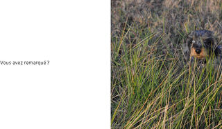 Julien Baer, "Piloti a un œil bleu" (Hélium) : Le chien de ma vie.jpg