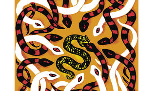 Murielle Szac, illustrations Joëlle Jolivet, "Le feuilleton de Tsippora" (Bayard Jeunesse)0.jpg