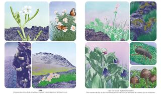 Virginie Aladjidi et Caroline Pellissier  illustrations Manon Diemer Une ile est nee Saltimbanque0.jpg