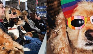 Martin Parr Waouh  editions des Grandes Personnes    0.jpg