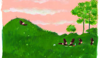 Olivier Tallec En attendant les barbares Lecole des Loisirs0.jpg