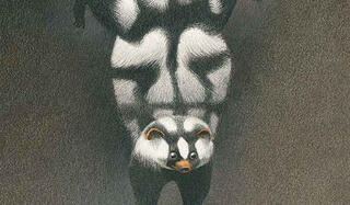 Olivier Charpentier Queues Seuil Jeunesse0.jpg