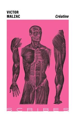 Creatine_Gallimard_9782073026583.jpg