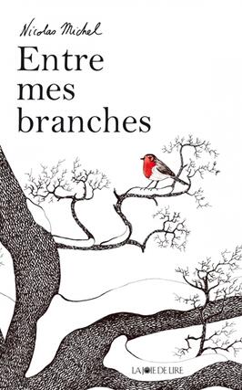 Entre mes branches.jpg