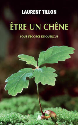 Etre un chêne : sous l'écorce de Quercus.jpg