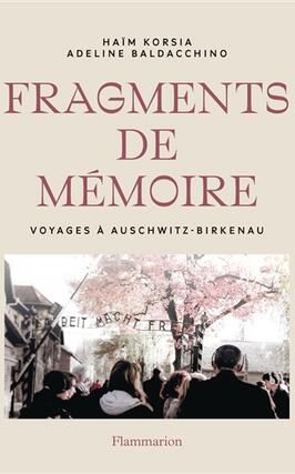 Fragments de memoire  voyages a AuschwitzBirke_Flammarion_9782080473813.jpg