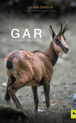 Gar : Pyrénées sauvages.jpg