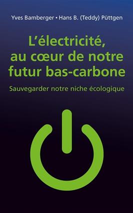 L'électricité, au coeur de notre futur bas-carbone : sauvegarder notre niche écologique.jpg
