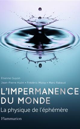 L'impermanence du monde : la physique de l'éphémère.jpg
