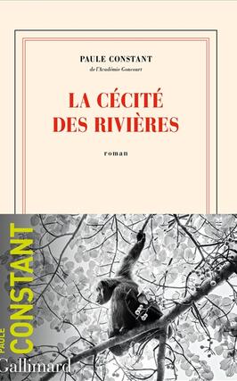 La cecite des rivieres_Gallimard_9782072969676.jpg