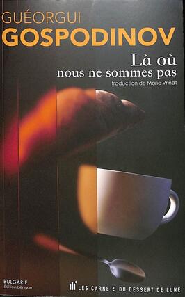 La où nous ne sommes pas_les Carnets du dessert de lune_9782390550174.jpg