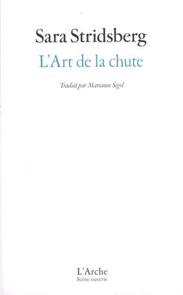 Lart de la chute_Arche editeur_9782381980935.jpg