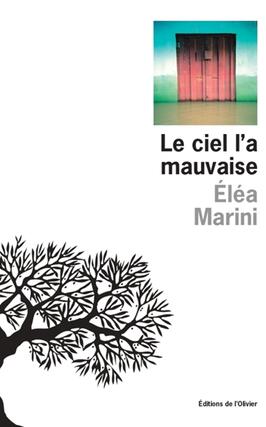 Le ciel la mauvaise_Ed de lOlivier_9782823622317.jpg
