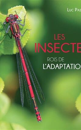 Les insectes : rois de l'adaptation.jpg