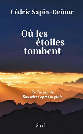 Ou les etoiles tombent_Stock_9782234097001.jpg