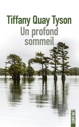 Un profond sommeil.jpg