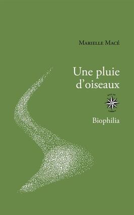 Une pluie d'oiseaux.jpg