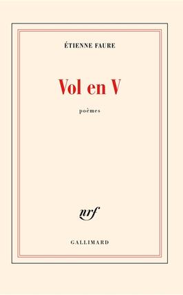 Vol en V : poèmes.jpg