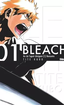 Bleach, vol. 1. The death and the strawberry
