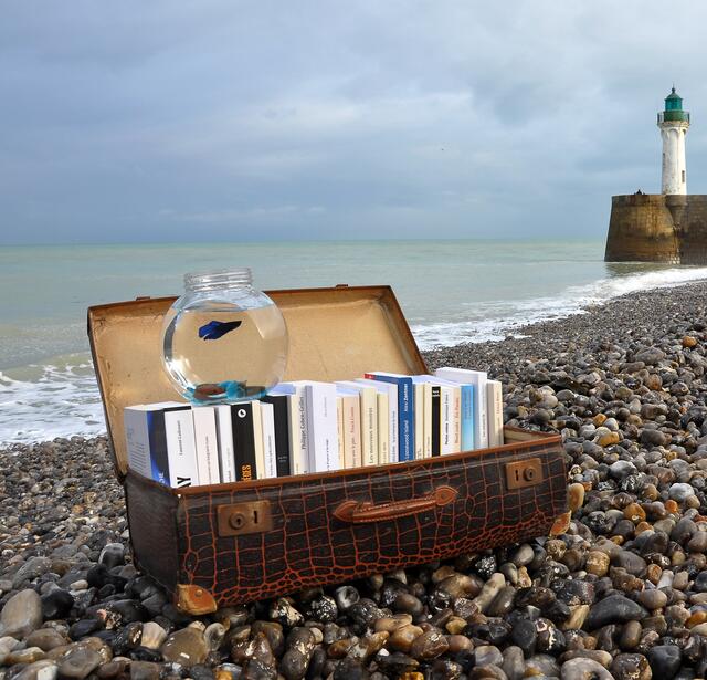 Valise de livres sur plage de galets