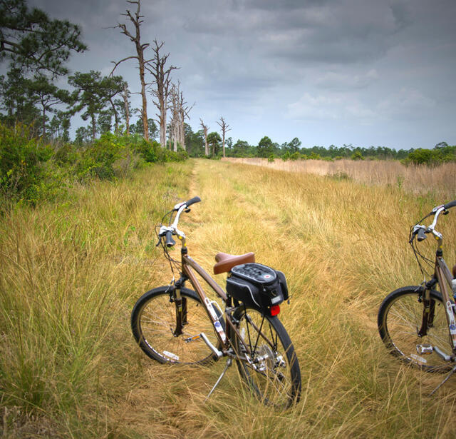 Vélos.