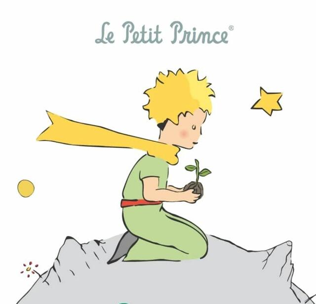 petit prince illustration