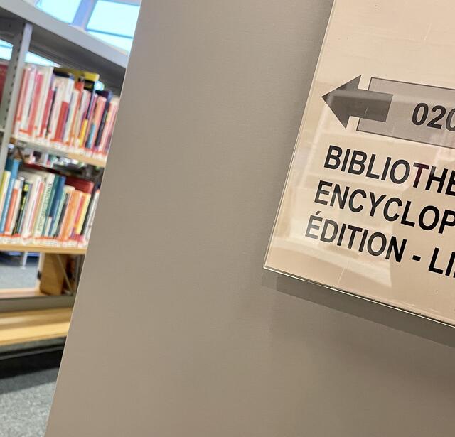 Dans une bibliothèque