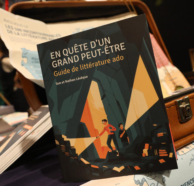 Guide de littérature ado