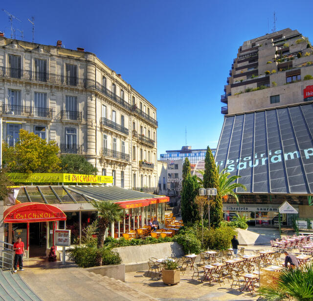 Librairie Sauramps