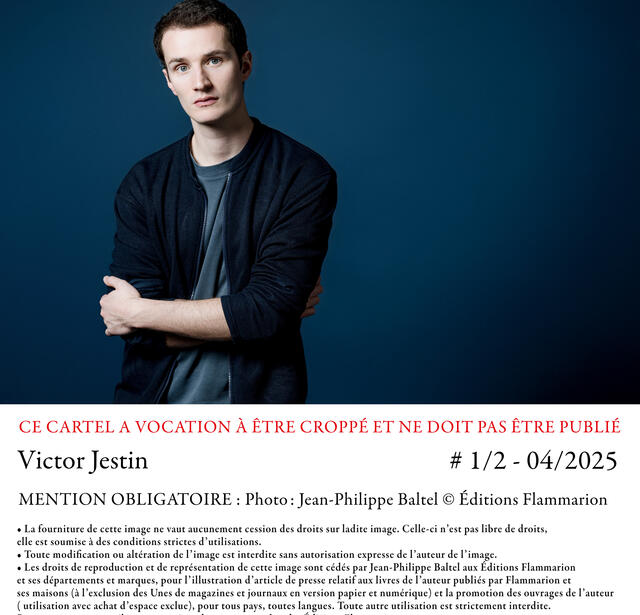 Victor Jestin La mauvaise joueuse Flammarion  0.jpg