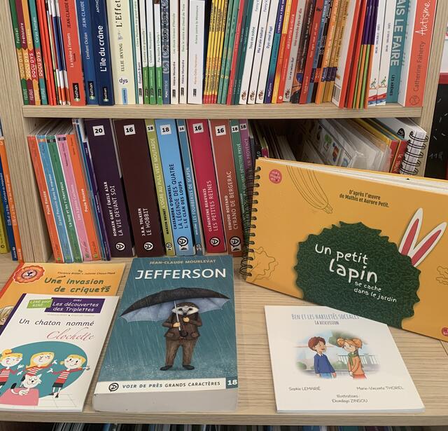 edition jeunesse accessible  une production contenue mais variee0.jpg