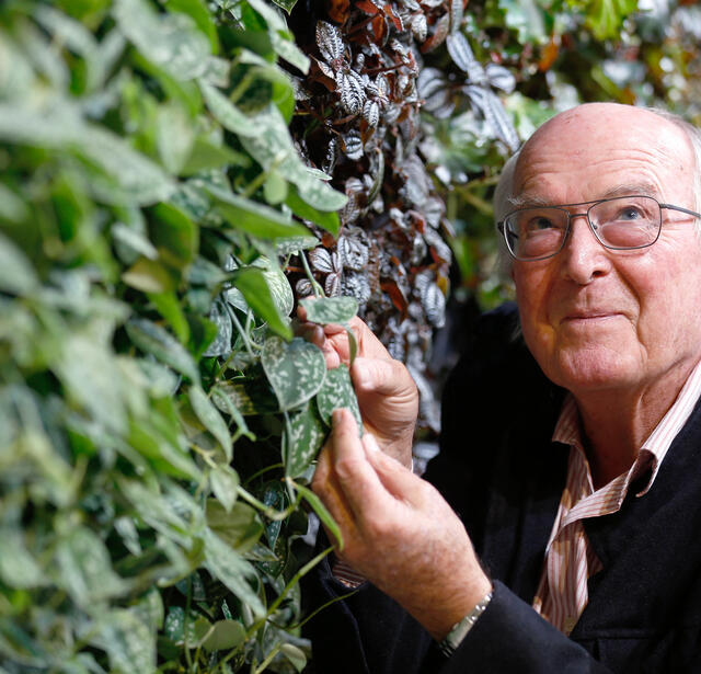 Francis Hallé en 2013