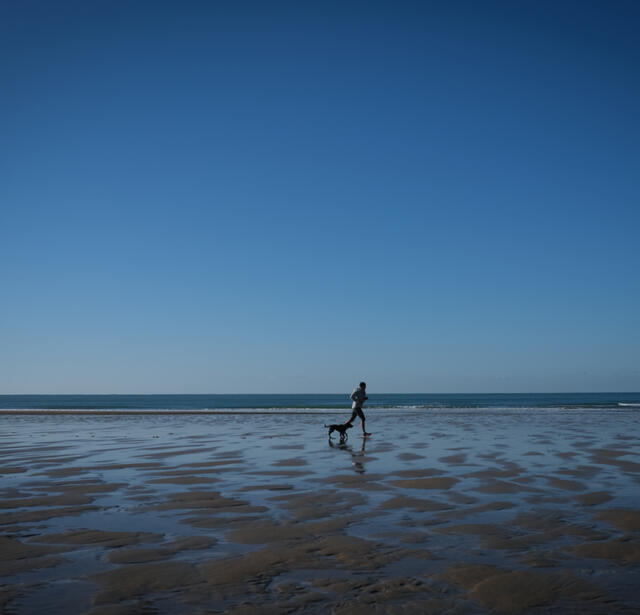 Les editeurs de sante   Desormais cest ChatGPT que nous craignons0.jpg