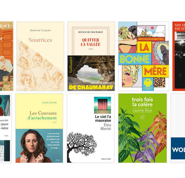 La sélection de la catégorie roman fançais du prix des librairies 2026
