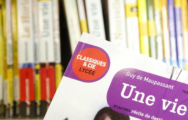 « Le Graal c'est de leur donner envie de lire »1.jpg