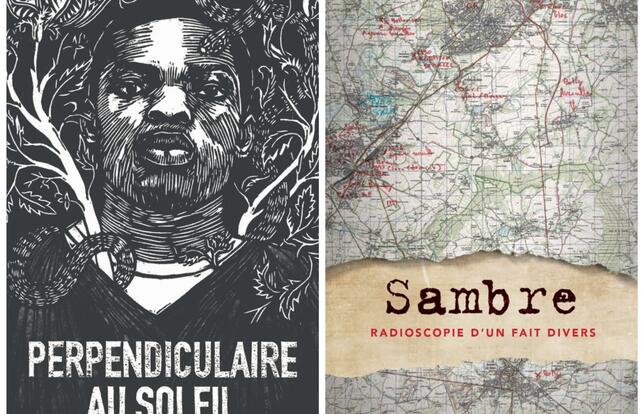 Sambre: Radioscopie d'un fait divers Livre audio, Alice Géraud